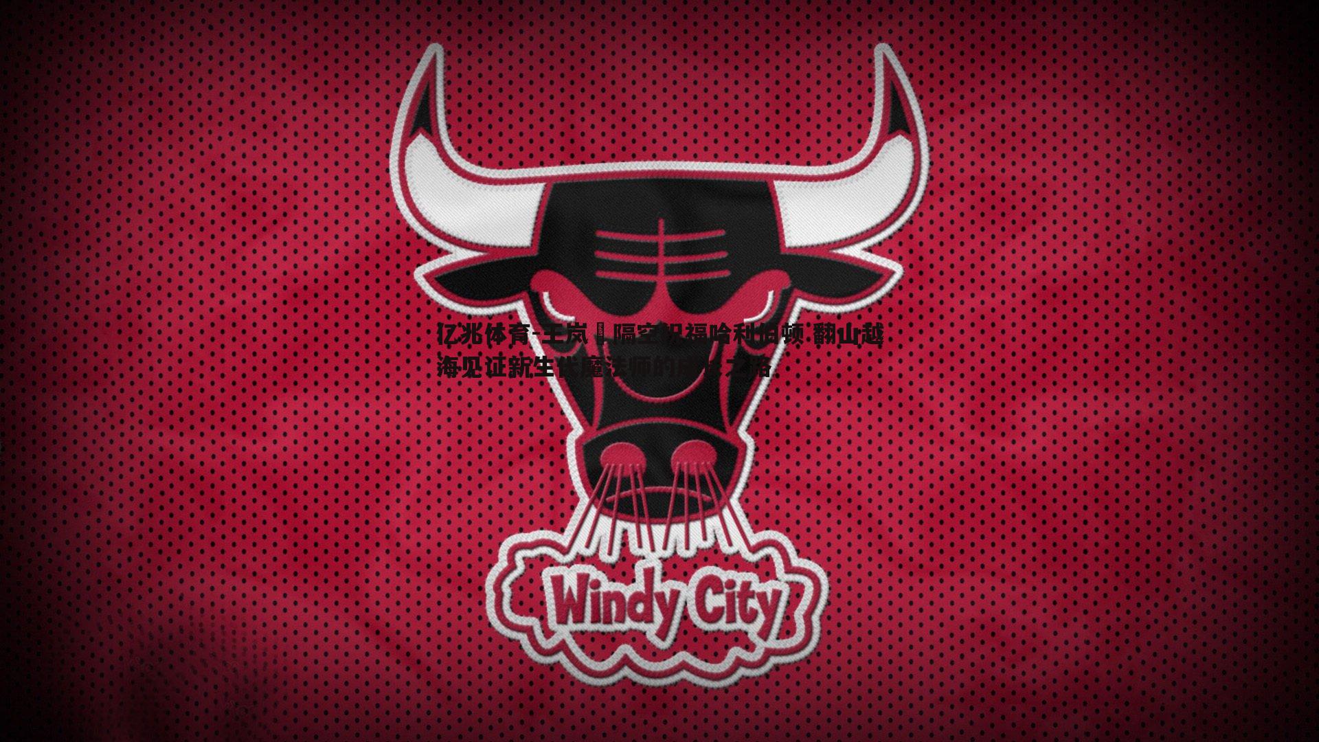 王岚嵚隔空祝福哈利伯顿 翻山越海见证新生代魔法师的成长之路