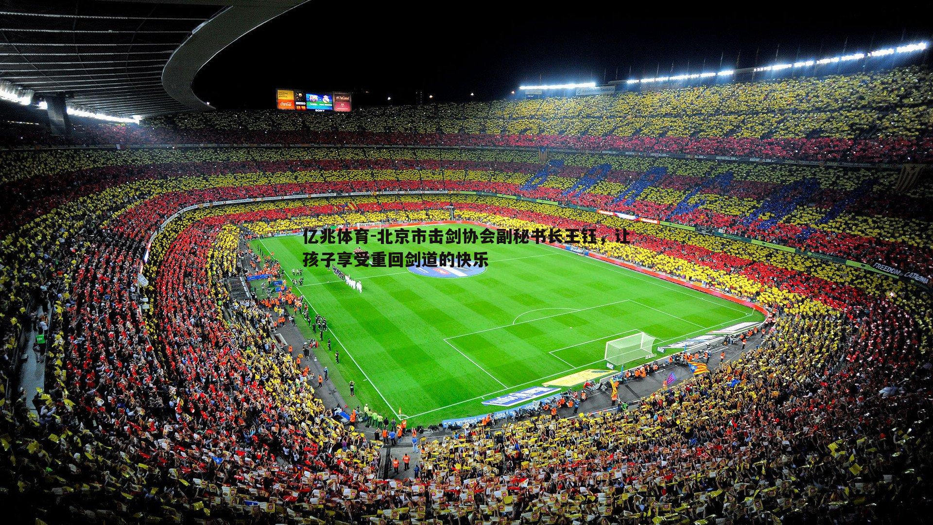 北京市击剑协会副秘书长王钰，让孩子享受重回剑道的快乐